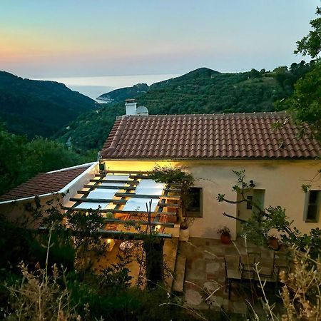 Olive Mill Cottage Skopelos Town Bagian luar foto